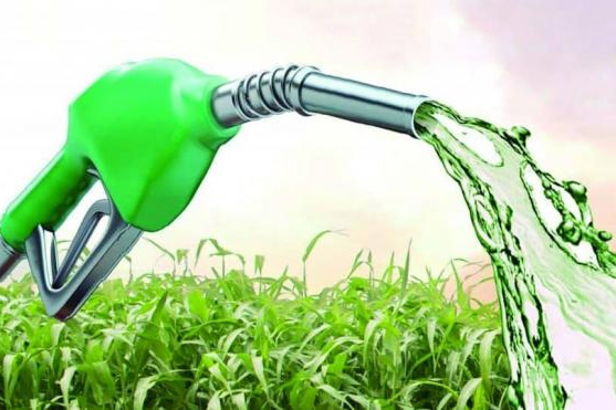 El Gobierno publicó los nuevos precios de los biocombustibles con aumentos importantes