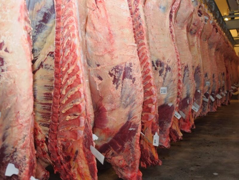 En 2024 se provocaría una nueva escalada de los precios de la carne