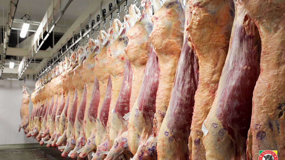 Suben las retenciones a la carne a un 15 %