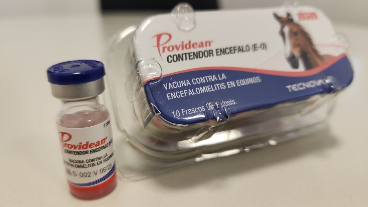 Encefalomielitis Equina: el Senasa aprobó el primer lote de vacunas para frenar los casos
