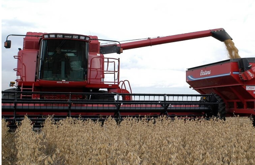 Alivio para los productores: la mejora de los rindes reduce el peso de los impuestos sobre la renta
