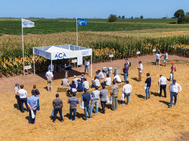 ACA: Se celebran 20 años de la muestra a campo abierto