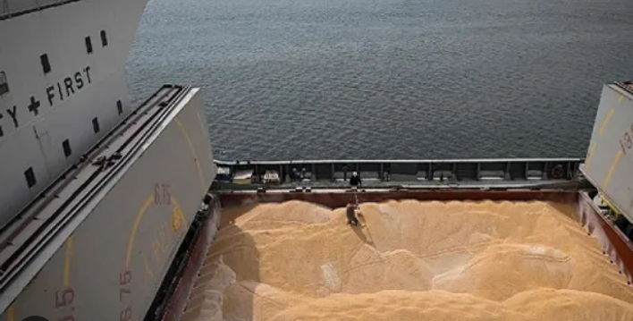 Las exportaciones agropecuarias ingresaron divisas por 1.500 mill/dol en enero