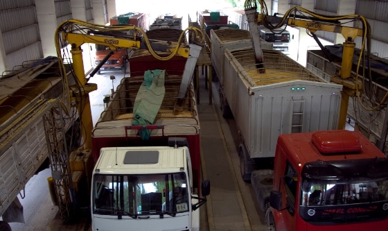 Aumentó un 150 % el ingreso de camiones de trigo a los puertos, pero sigue lejos del promedio