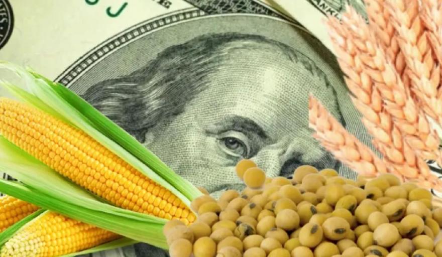 La Federación de Acopiadores celebró la publicación del nuevo “dólar exportador”
