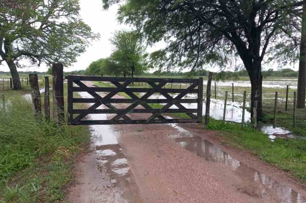 Buenas lluvias en la zona núcleo: acumulados de hasta 80 mm