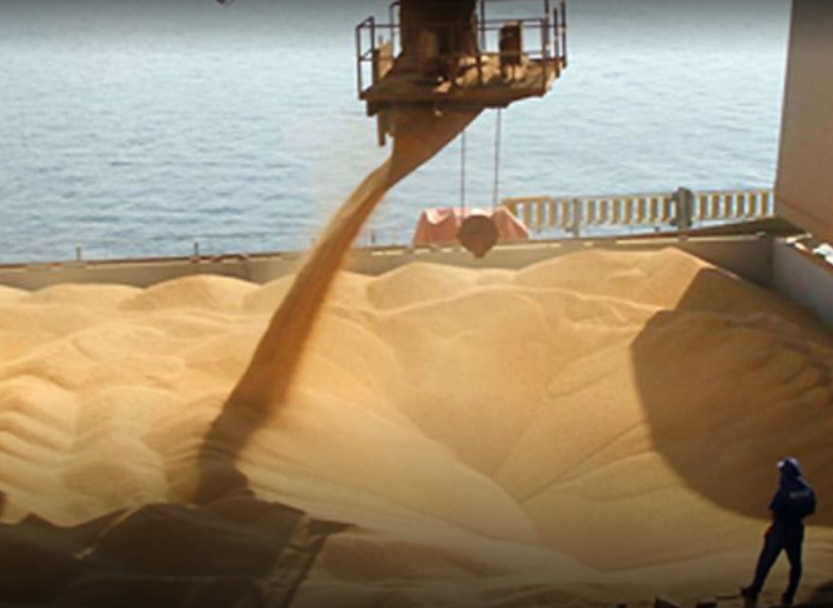 La actividad agroindustrial cayó en febrero, pero estiman que se recuperará en los próximos meses