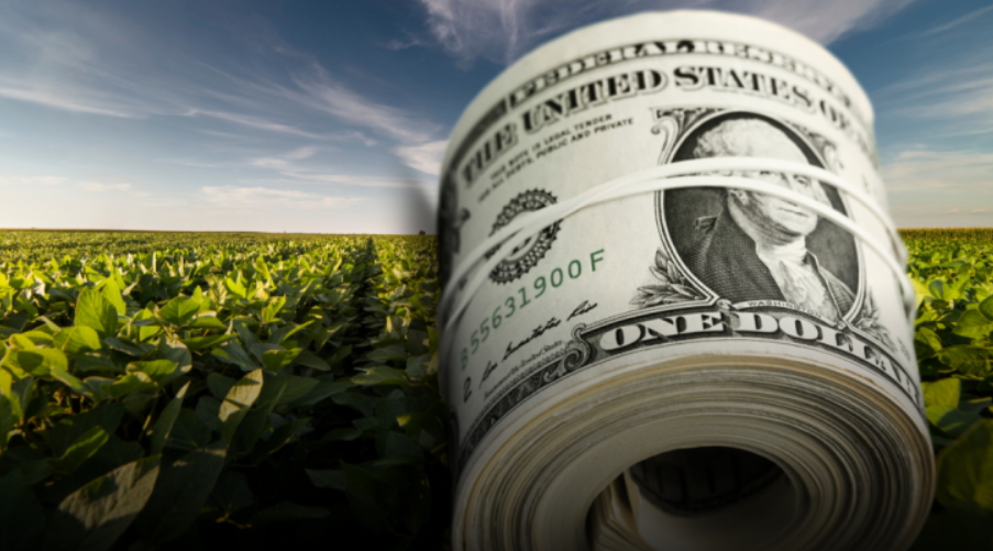 Los agroexportadores desmintieron la existencia de un nuevo dólar soja