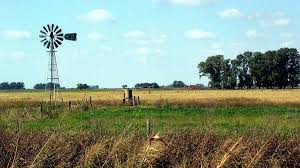 Con cuántos quintales se cierran los arrendamientos agrícolas 2024/25 y bajo qué modalidad de pago: la particularidad de un costo que alcanza los US$ 371 por hectárea