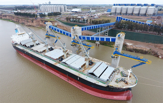 El Senasa secuestró un cargamento de soja ‘coloreada’ que iba a exportación