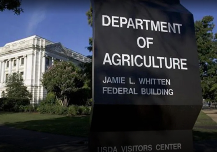 Se publicó nuevo informe del USDA