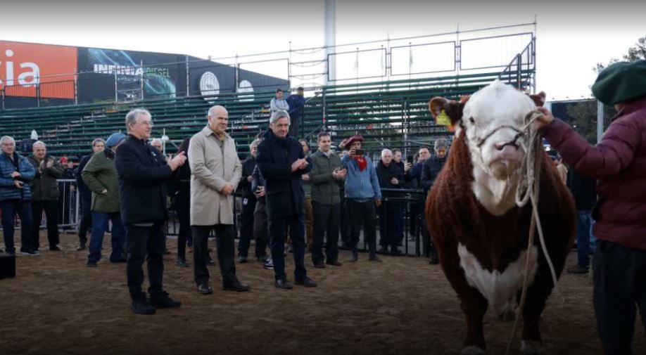 Místico primer animal en ingresar a la Rural 2024