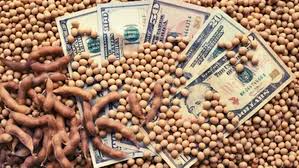 La evolución de los precios locales, más atada a decisiones políticas que a la oferta y la demanda