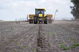 Avanza la siembra de cebada para la campaña 2024/25