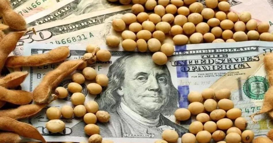 Qué pasó con el precio de la soja, maíz y trigo tras el pánico financiero globlal