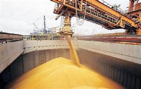 Una situación inédita en más de 40 años para el agro argentino y la sorpresa que se espera para el primer trimestre de 2025