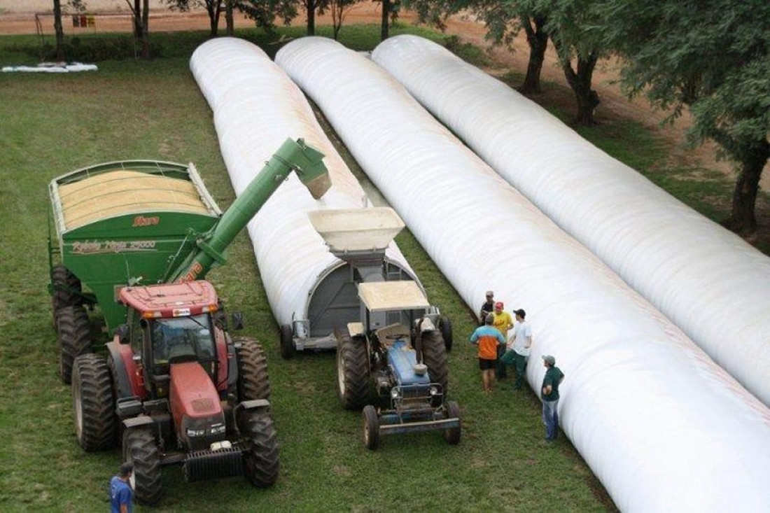 El viernes se negociaciaron en la Bolsa de Cereales poco más de 635.000 t