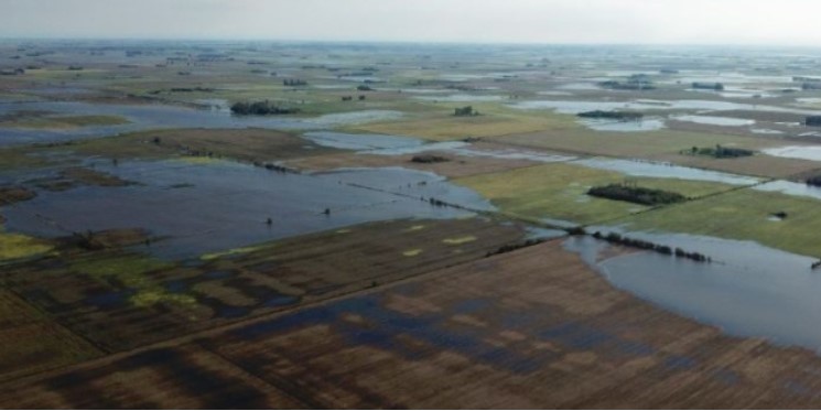Argentina perdió parte de su cosecha de soja por el temporal, pero por el momento nadie se anima a ponerle número al desastre