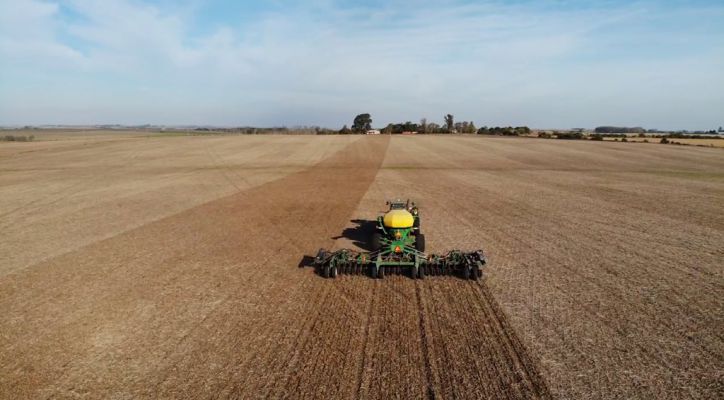 La campaña 2025/26 de trigo ya está en marcha en Argentina.
