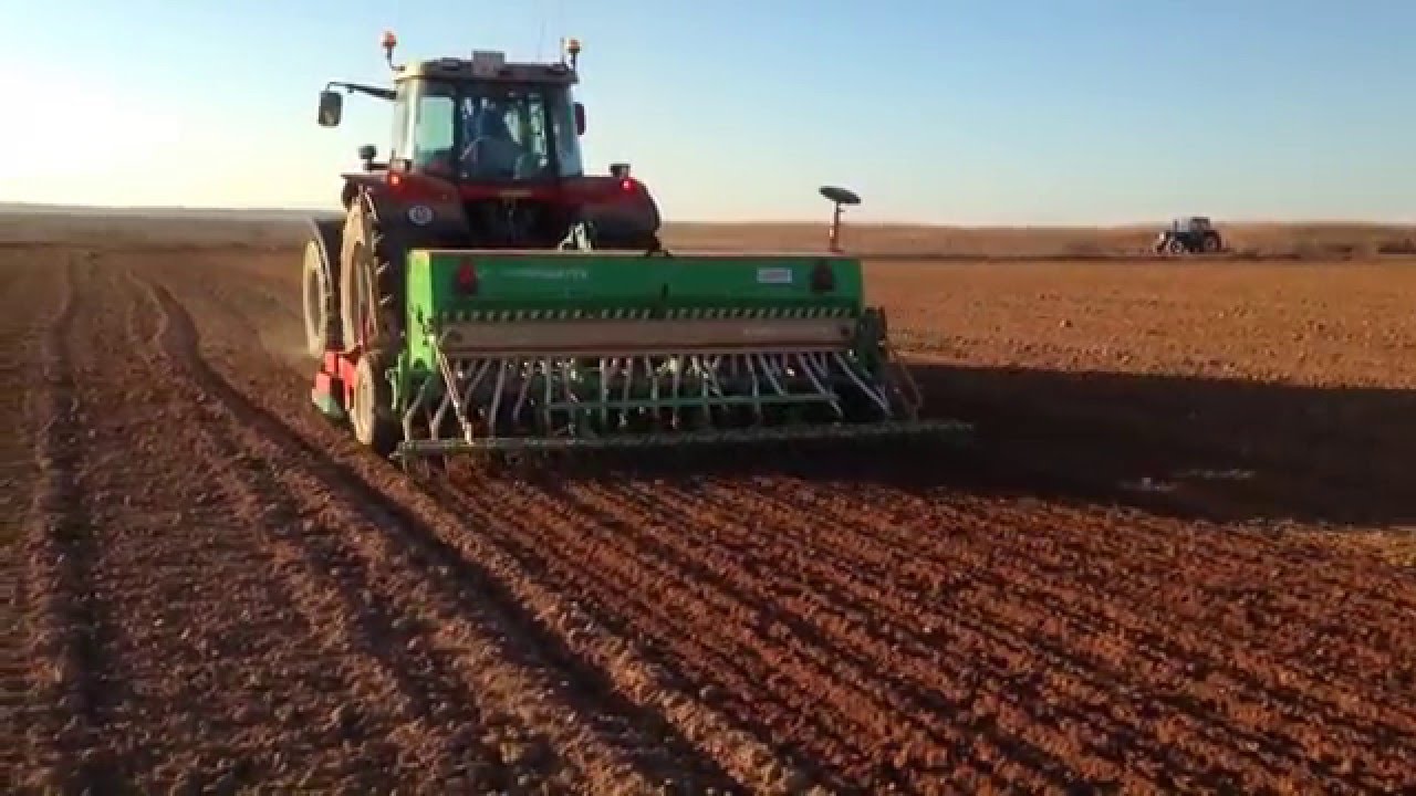 Siembra de Trigo en el Sudeste Bonaerense