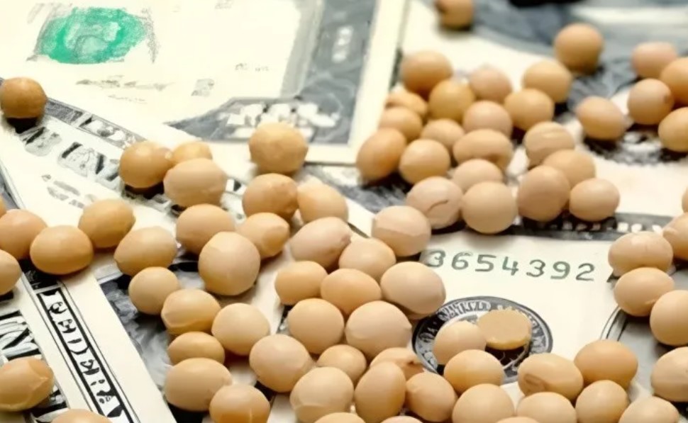 Retenciones al Agro: El Gobierno Extiende Beneficios para la Cosecha Fina y Reinstaura Alícuotas para la Cosecha Gruesa