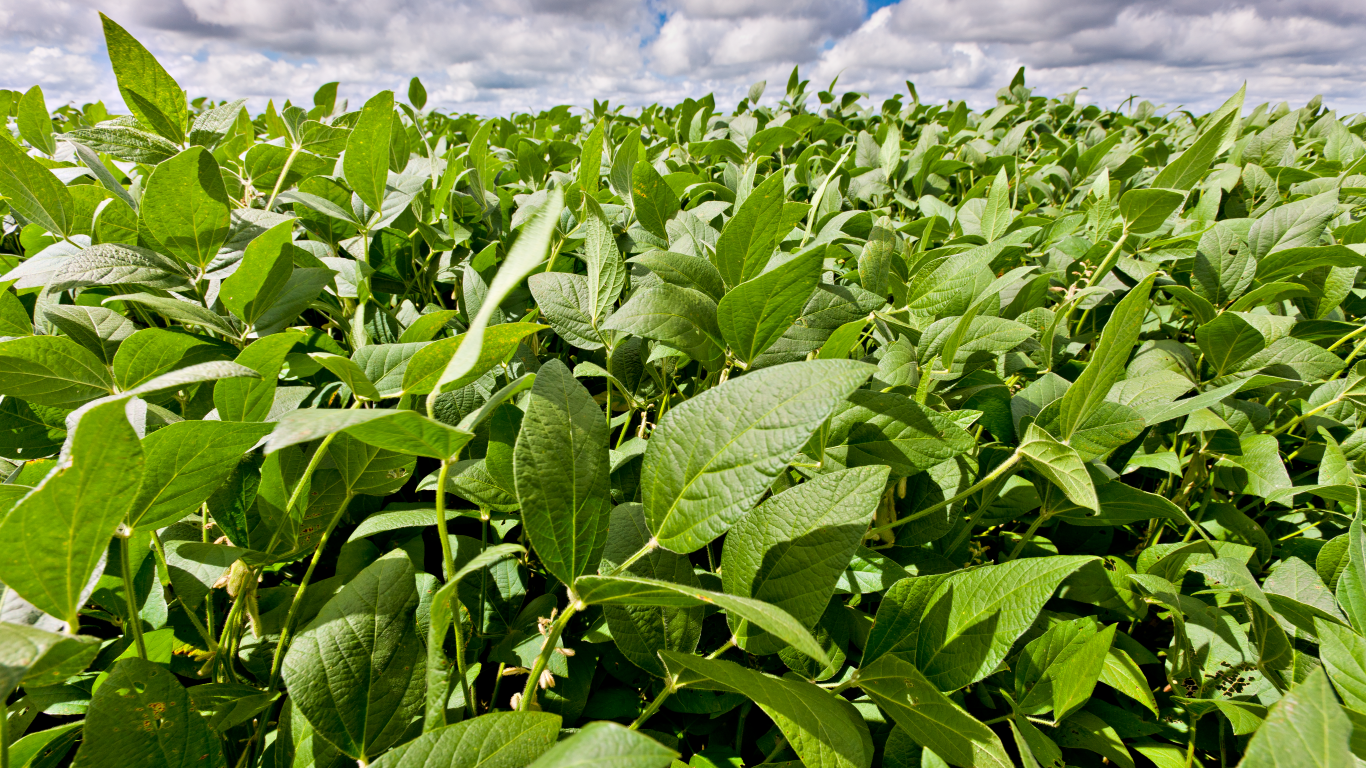El clima macro mejora, pero igual hay mucho por hacer y sigue nublado