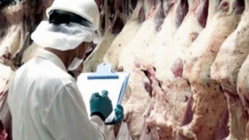 La faena vacuna continúa a buen ritmo, mientras no aparecen las esperadas inversiones ganaderas para recomponer el stock