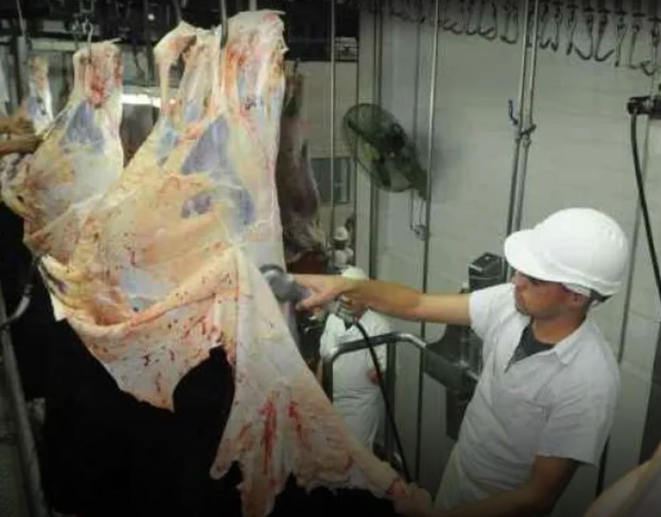 El cuero argentino al mundo: el Gobierno libera las exportaciones tras más de tres décadas