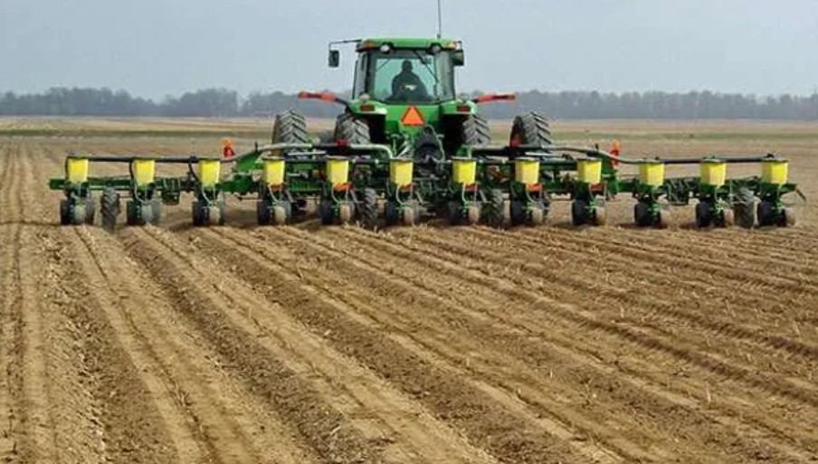 Primera estimación de siembra de maíz en la zona núcleo: leve recuperación, pero aún lejos del potencial