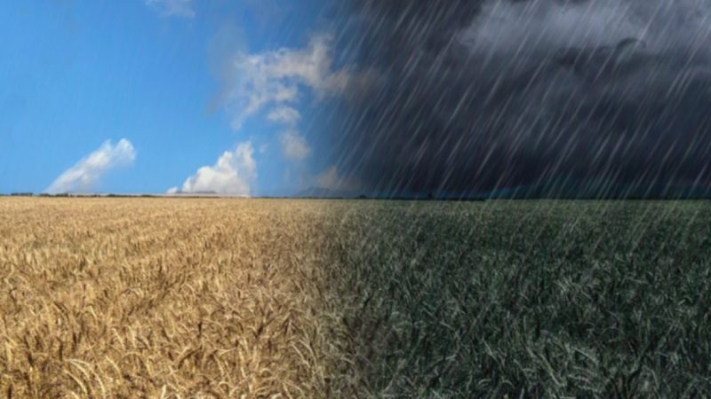 ¿Qué ocurre con el factor climático en los campos argentinos?