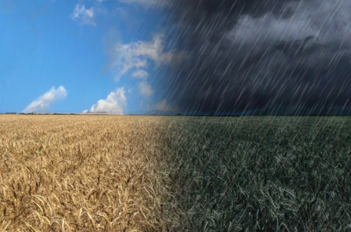 ¿Qué ocurre con el factor climático en los campos argentinos?