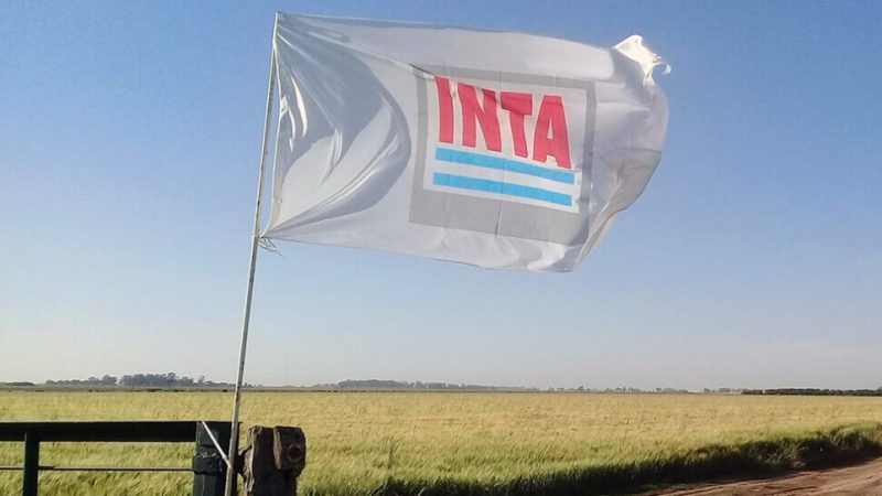 Alerta en el Sector: Reformas Propuestas Comprometerían la Autonomía del INTA