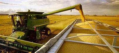 Panorama del sector agrícola al 5 de junio de 2025: aumento de divisas y desafíos en logística y comercialización