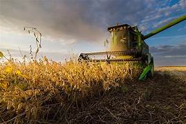 La cosecha de soja en Argentina ya alcanza el 88,7% del área sembrada y se consolida una producción de 46,5 millones de toneladas