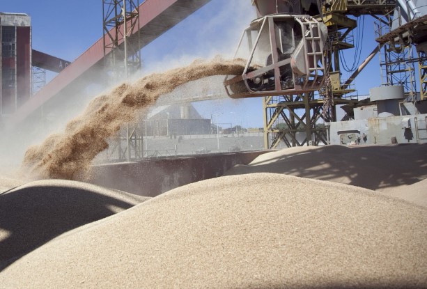 Las exportaciones de harina de soja se desaceleraron en mayo y tocaron su nivel más bajo en 20 años