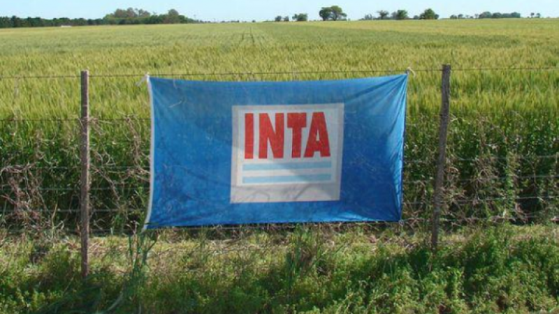 Preocupación en el INTA por posibles cambios en su conducción: respaldo a la autarquía y defensa de su estructura federal