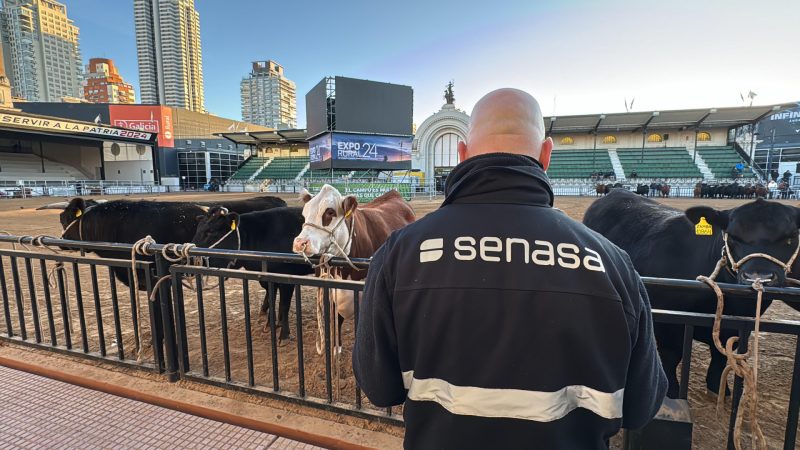 Senasa establece requisitos sanitarios para el traslado de animales a la Exposición Rural de Palermo 2025