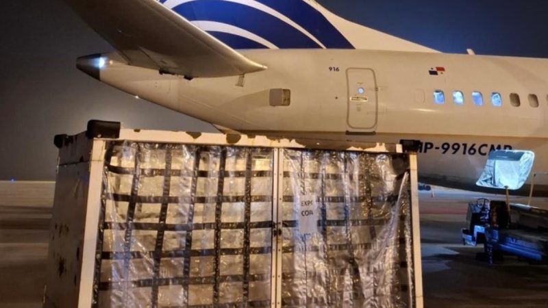Desde Rosario ya se exporta carne y pescado por vía aérea: un hito logístico que posiciona a Santa Fe