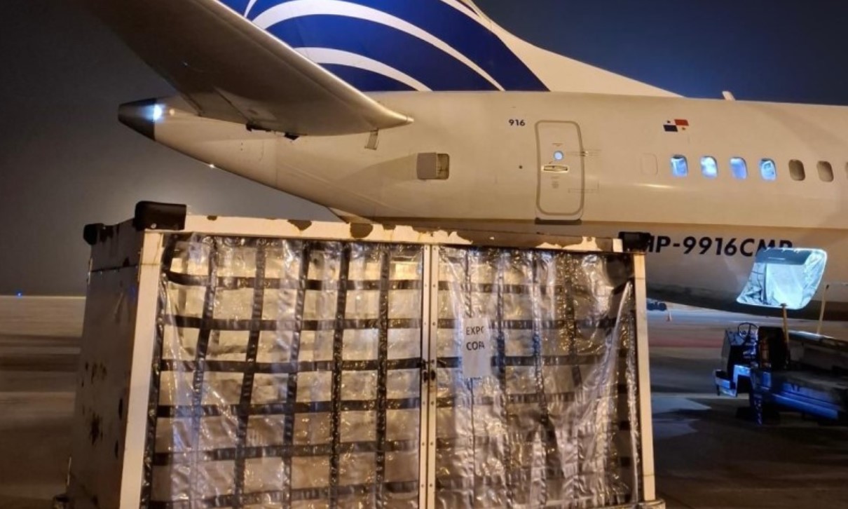 Desde Rosario ya se exporta carne y pescado por vía aérea: un hito logístico que posiciona a Santa Fe
