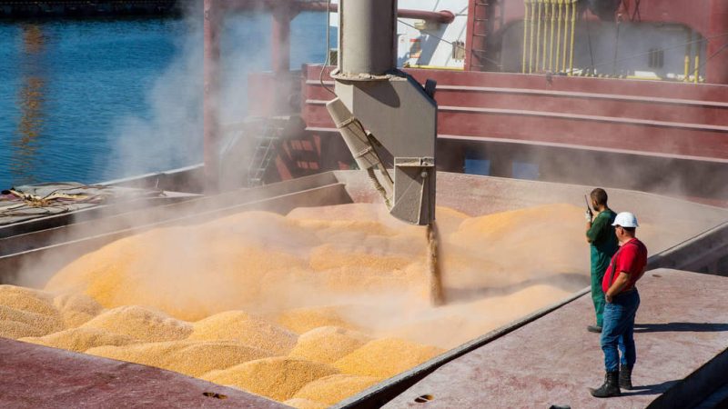 La carrera por exportar: agroexportadores se anticipan a la suba de retenciones y aceleran ventas externas
