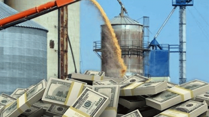 Fuerte caída real en la recaudación nacional de mayo: creció 18,6% nominal, pero cayó casi 18% en términos reales