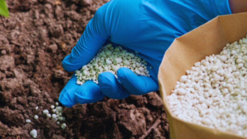 El desafío pendiente: los bioherbicidas