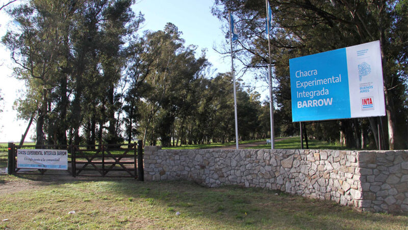 El INTA bajo la lupa: el DNU 462/2025, la pérdida de representación privada y la incertidumbre en la Chacra de Barrow