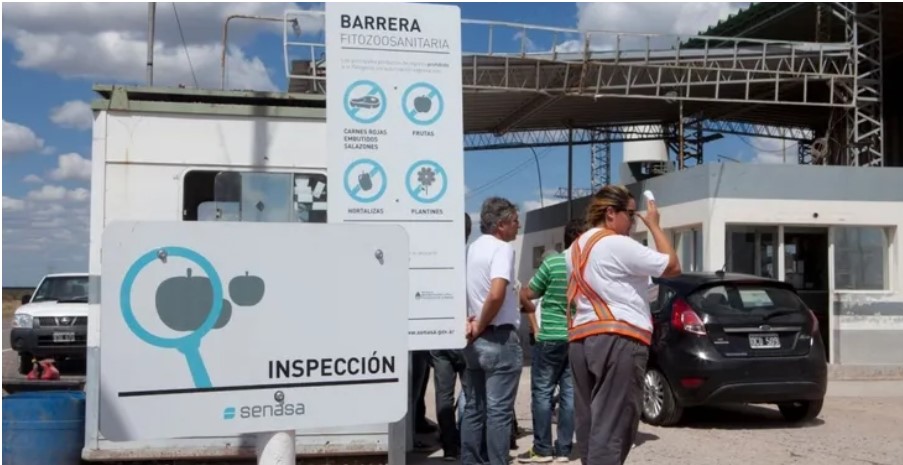 Chile dejará de importar carne y ganado desde la Patagonia, y ya no reconocerá el estatus sanitario de “libre de aftosa sin vacunación” para esa zona