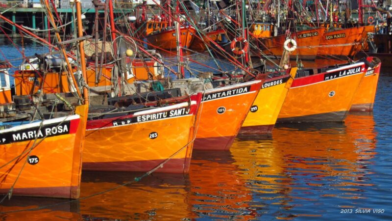 La pesca marplatense reclama protagonismo en las políticas de alivio económico
