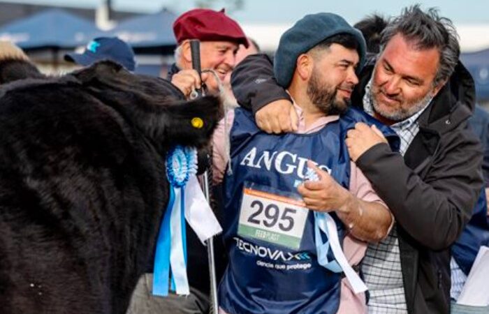 Necochea brilló en la Semana Angus de Primavera: Don José de La Dulce consagró al Gran Campeón Macho