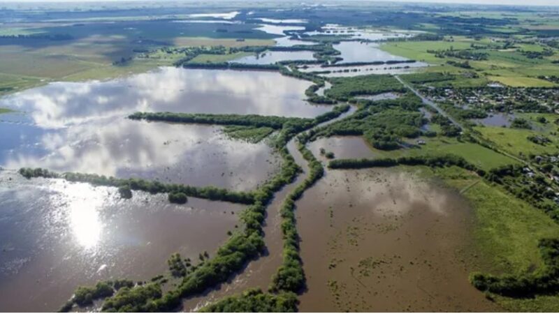 Las lluvias ya afectaron más de 4,3 millones de hectáreas y se estima una de las mejores cosechas de trigo en 18 años