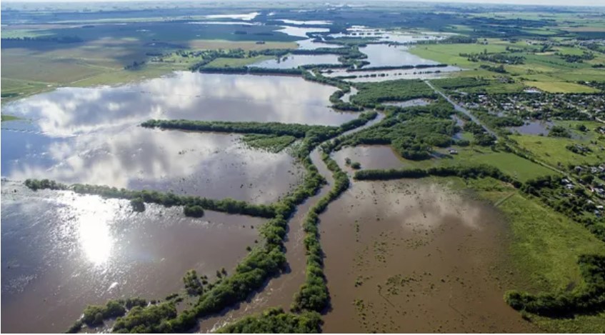 Las lluvias ya afectaron más de 4,3 millones de hectáreas y se estima una de las mejores cosechas de trigo en 18 años