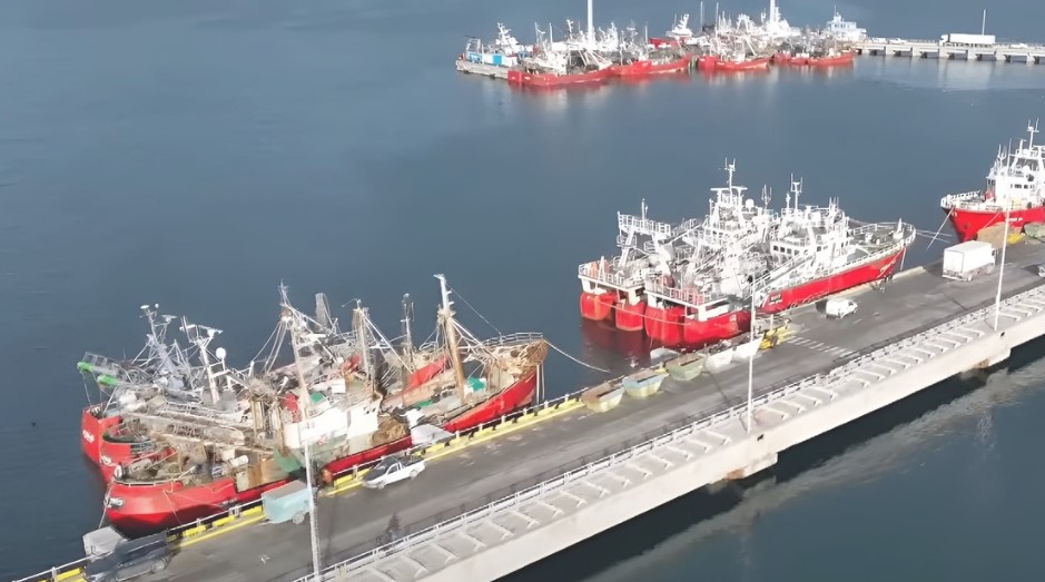 Mar del Plata en alerta: crece la tensión por el intento de cuotificar el langostino