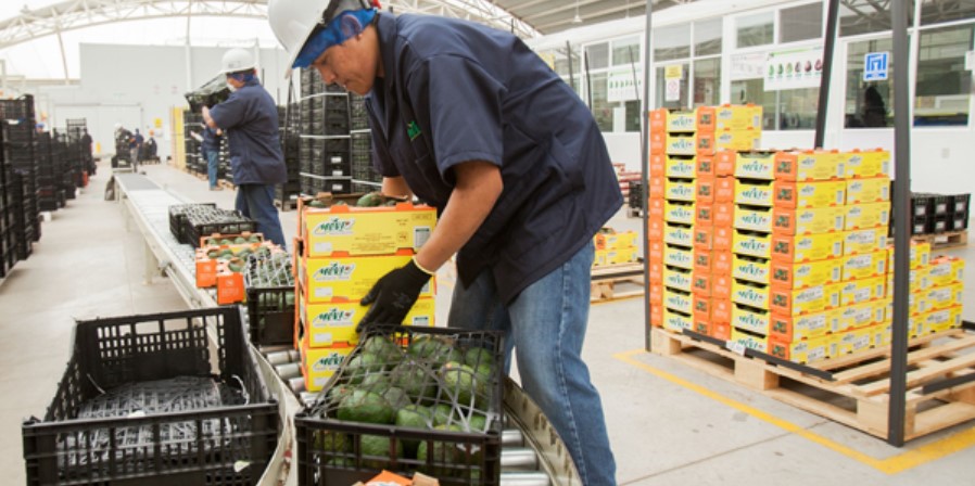 Más de 50 productos agroindustriales muestran su mejor desempeño en siete años